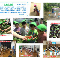 今週の活動0606のサムネイル