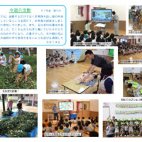 今週の活動0614のサムネイル