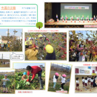 今週の活動1128のサムネイル